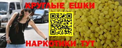 индика Обнинск