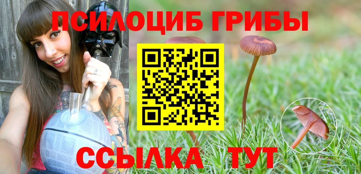 Галлюциногенные грибы MAGIC MUSHROOMS  Вход с VPN  где можно купить наркотик  Отрадное 